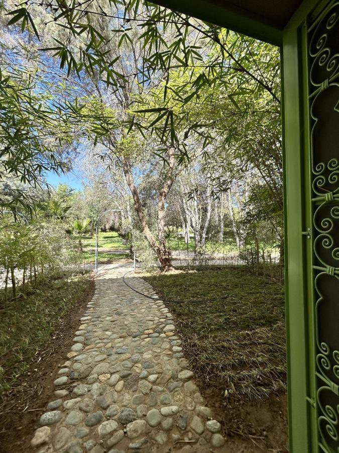 Palais Claudio Bravo 4* Taroudant